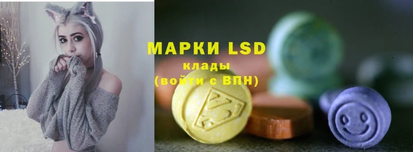 PSILOCYBIN Алзамай