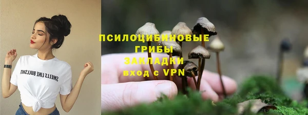 PSILOCYBIN Алексин