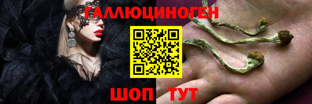 Псилоцибиновые грибы прущие грибы  купить   Асбест 